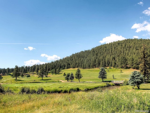 5818 S Skyline Dr, Evergreen, CO 80439 - view of mountain background with a forest