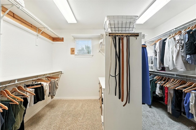 5731 S Yampa St, Centennial, CO 80015 - spacious closet featuring carpet floors