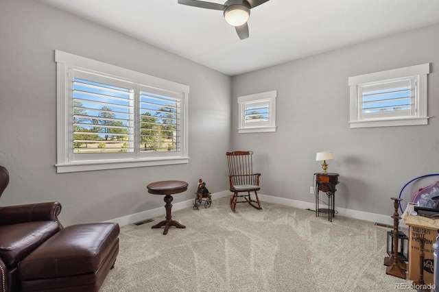 11073 Mosey Trl, Colorado Springs, CO 80908 - photo 22