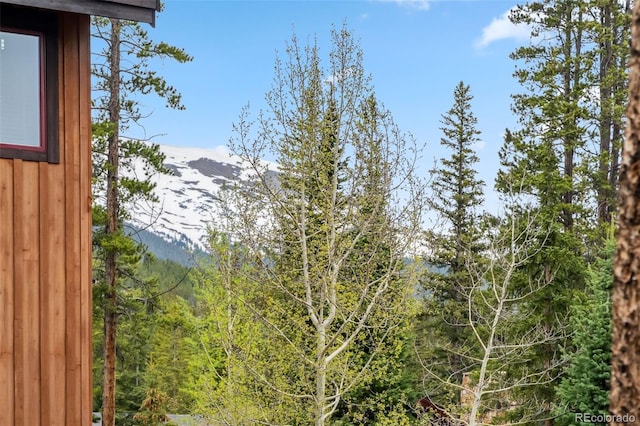 1152 Ski Hill Rd, Breckenridge, CO 80424 - mountain view featuring a heavily wooded area