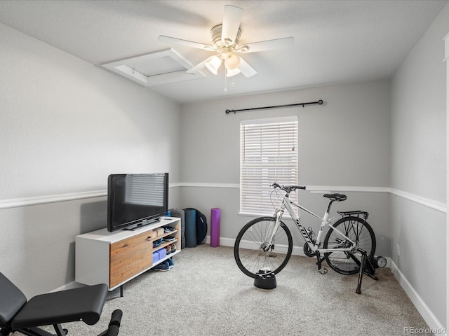 2691 Spruce St, Denver, CO 80238 - photo 12