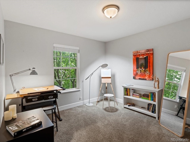 2691 Spruce St, Denver, CO 80238 - photo 10