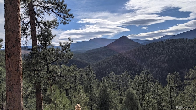 598 Holmes Gulch Rd, Bailey, CO 80421