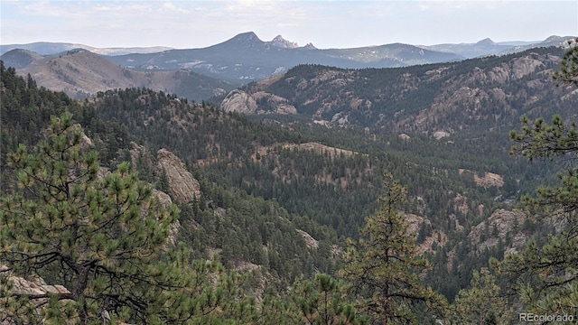 598 Holmes Gulch Rd, Bailey, CO 80421