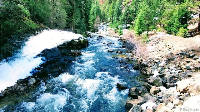 598 Holmes Gulch Rd, Bailey, CO 80421