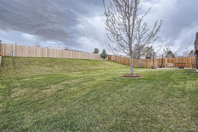 view of yard featuring a fenced backyard and a patio area