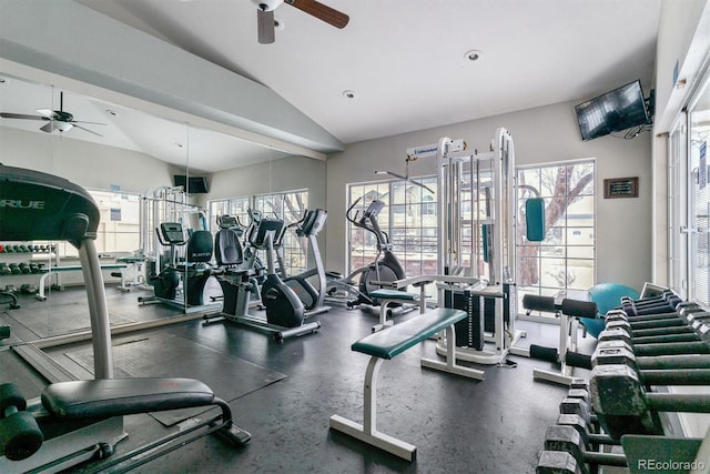 exercise room featuring ceiling fan and vaulted ceiling