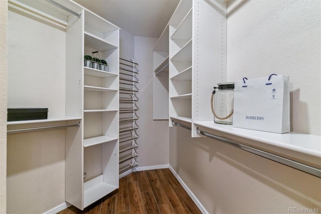 walk in closet featuring dark hardwood / wood-style flooring