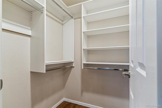 spacious closet with dark hardwood / wood-style floors