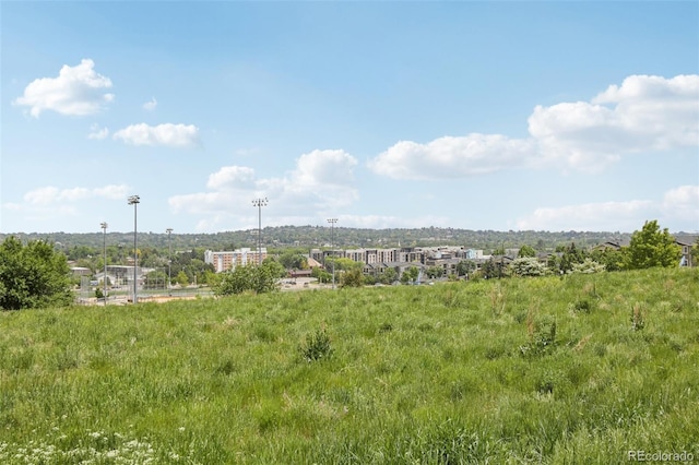 10129 W 55th Dr Unit 3, Arvada, CO 80002 - view of yard