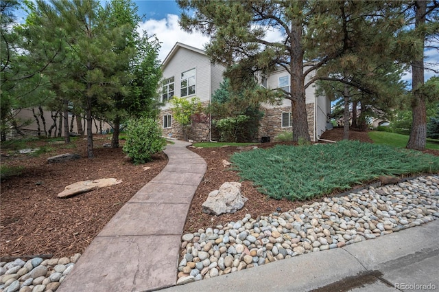 1030 Timbercrest Dr, Castle Pines, CO 80108 - photo 4