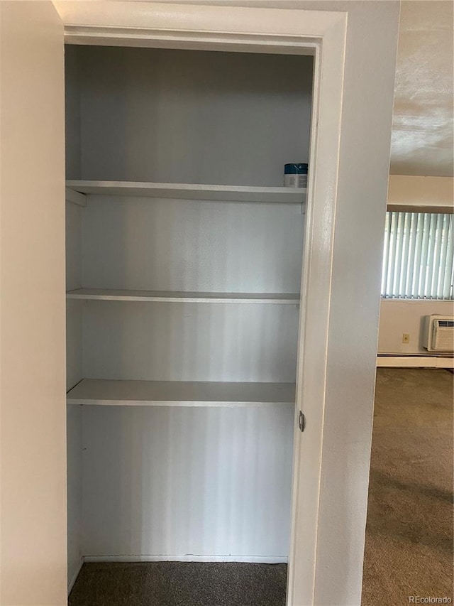 closet with a baseboard radiator and a wall mounted air conditioner