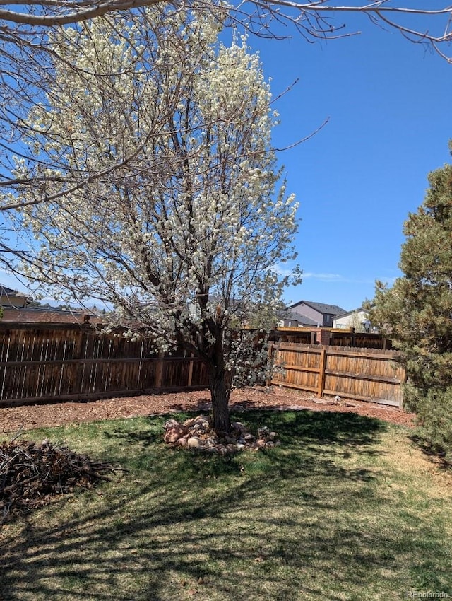 4483 S Fundy St, Centennial, CO 80015 - view of fenced backyard