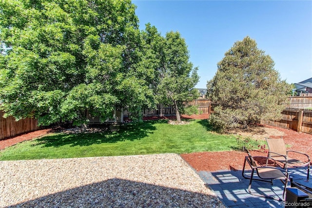 4483 S Fundy St, Centennial, CO 80015 - fenced backyard featuring a patio area