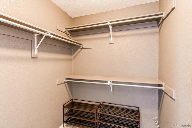 4483 S Fundy St, Centennial, CO 80015 - view of spacious closet