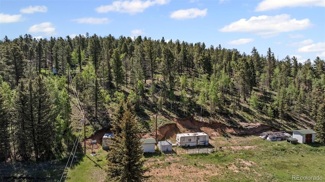 974 W Bison Creek Trl, Divide, CO 80814