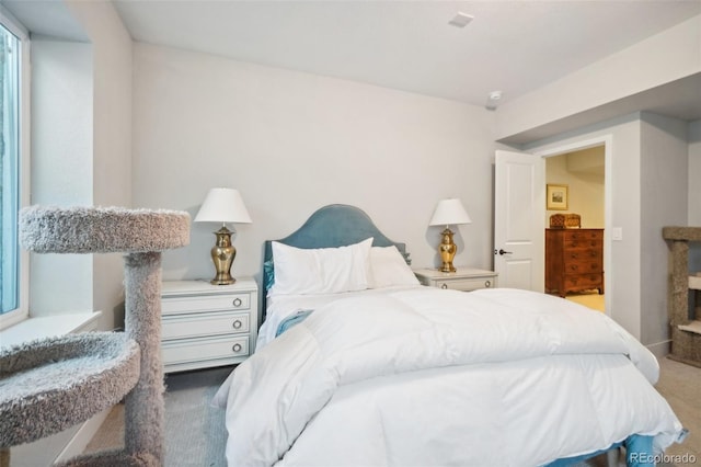 1455 Flowers Ct, Erie, CO 80516 - bedroom featuring carpet
