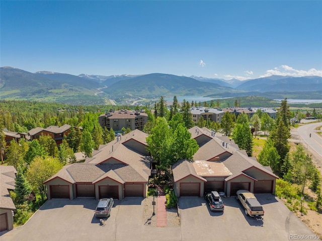 26 Spyglass Ln, Silverthorne, CO 80498 - photo 29