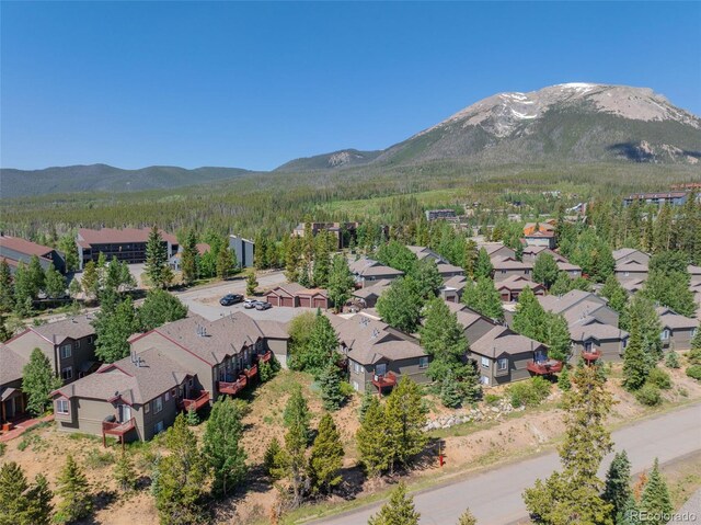 26 Spyglass Ln, Silverthorne, CO 80498 - photo 34