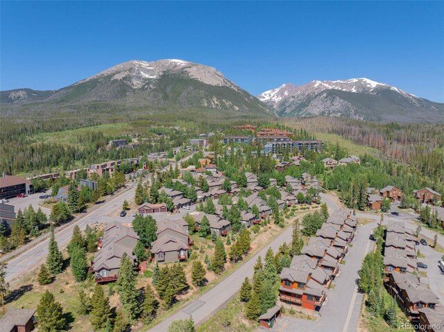 26 Spyglass Ln, Silverthorne, CO 80498 - photo 35