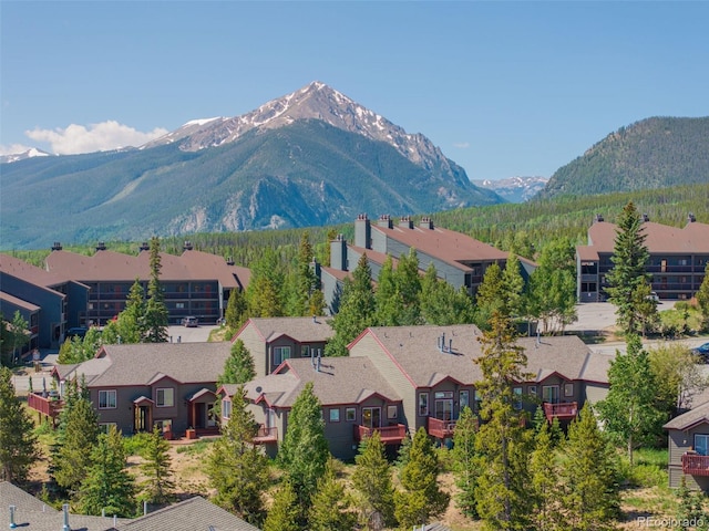 26 Spyglass Ln, Silverthorne, CO 80498 - photo 36