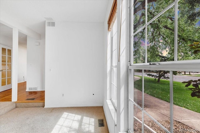 carpeted spare room with a wealth of natural light