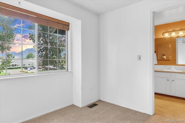 empty room with a textured ceiling, light colored carpet, and sink