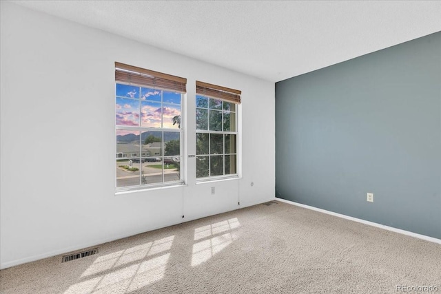 carpeted spare room featuring a textured ceiling