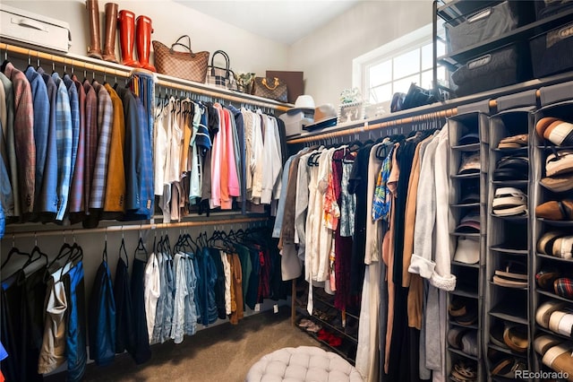 23421 E Rockinghorse Pkwy, Aurora, CO 80016 - walk in closet with carpet