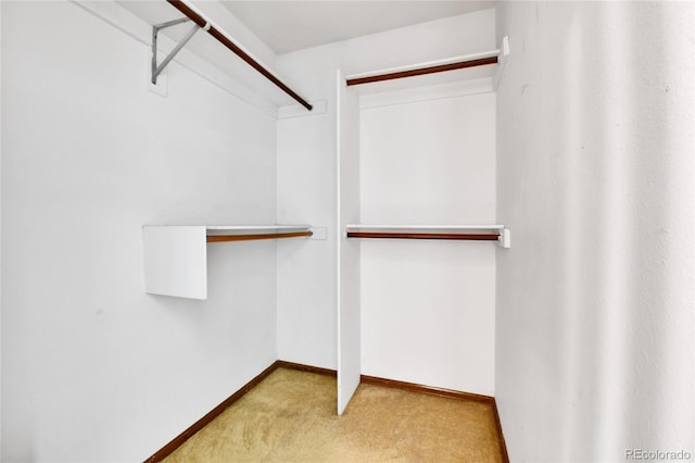 spacious closet featuring carpet