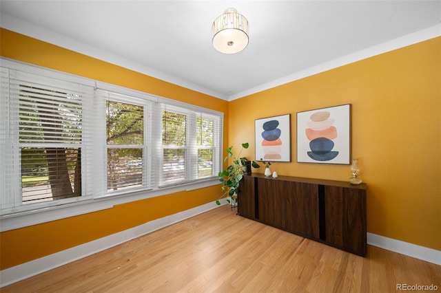 interior space featuring light hardwood / wood-style flooring