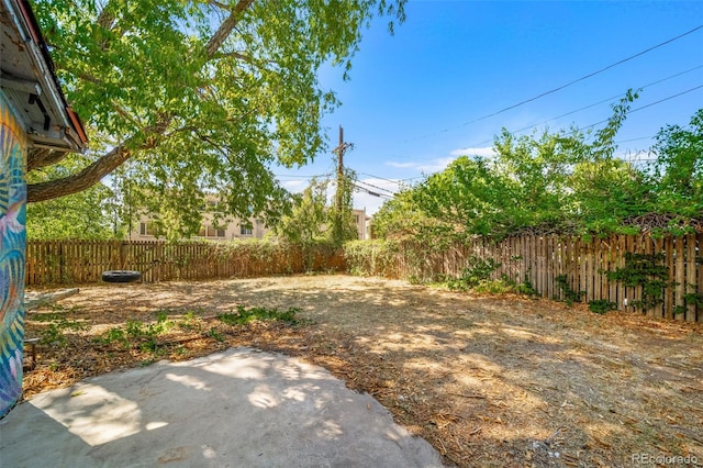 view of yard with a patio