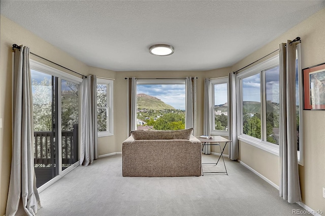 165 Washington St, Golden, CO 80403 - sunroom with carpet, plenty of natural light, baseboards, and a textured ceiling