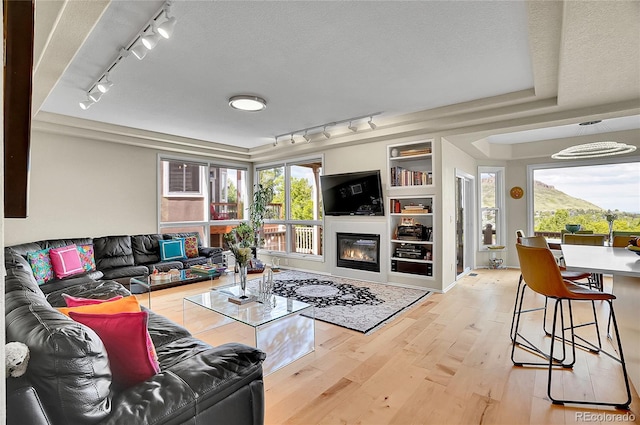 165 Washington St, Golden, CO 80403 - living room featuring rail lighting, hardwood / wood-style floors, healthy amount of natural light, and a glass covered fireplace