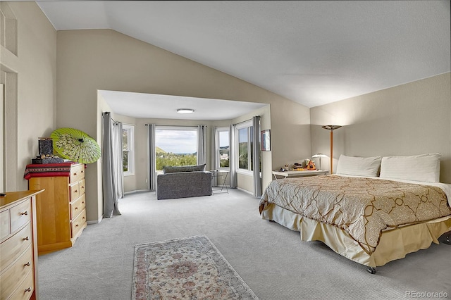 165 Washington St, Golden, CO 80403 - bedroom with vaulted ceiling, light carpet, and access to exterior
