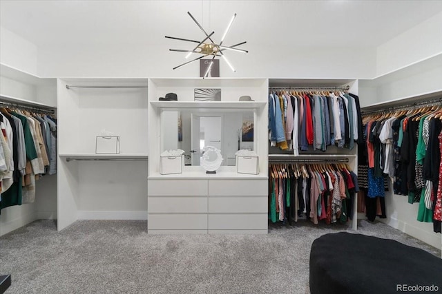 27250 E Nova Cir, Aurora, CO 80016 - spacious closet with carpet flooring