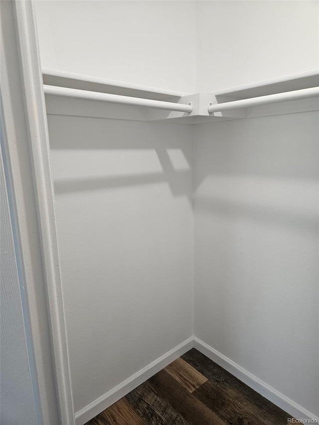1304 S Parker Rd Unit 13, Denver, CO 80231 - walk in closet featuring dark wood-style flooring
