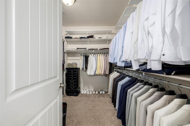 27029 E Irish Pl, Aurora, CO 80016 - spacious closet featuring carpet flooring