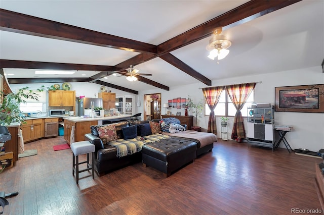 living room with ceiling fan, lofted ceiling with beams, and dark hardwood / wood-style flooring