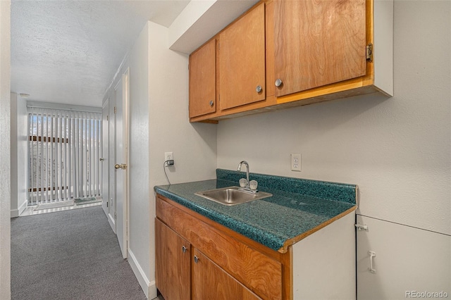 kitchen featuring sink, a textured ceiling, and carpet