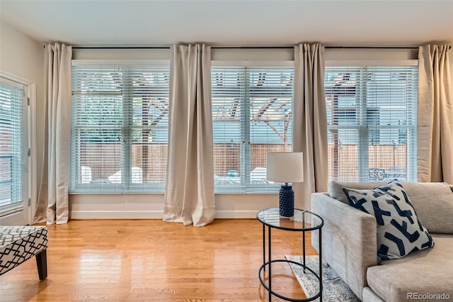 interior space featuring a healthy amount of sunlight, baseboards, and wood finished floors