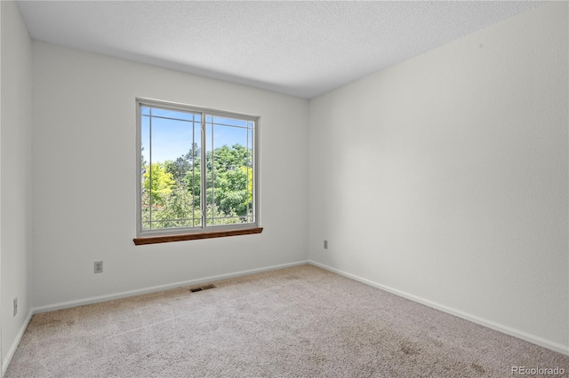 8725 Meadowlark Cir, Highlands Ranch, CO 80126 - spare room with carpet floors and a textured ceiling