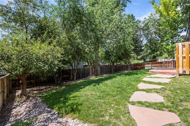 8725 Meadowlark Cir, Highlands Ranch, CO 80126 - view of fenced backyard