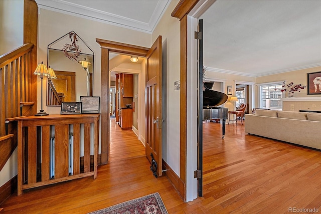 hallway featuring crown molding and light hardwood / wood-style flooring