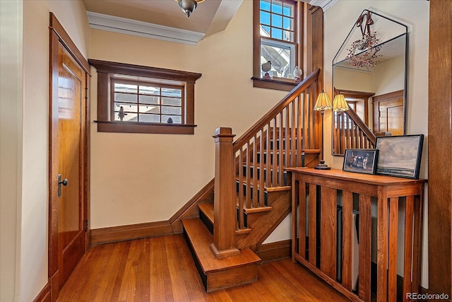 staircase with hardwood / wood-style floors, ornamental molding, and a healthy amount of sunlight