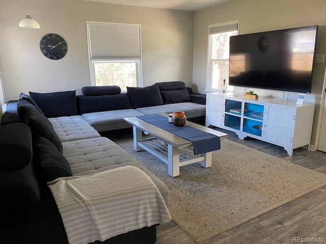 living room featuring hardwood / wood-style floors