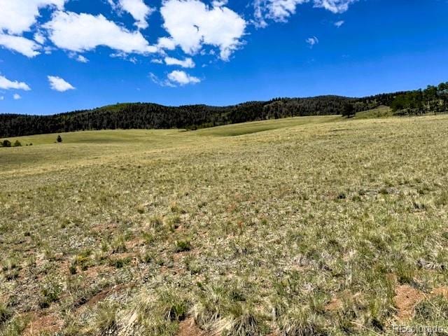 25 Sulky Ct, Hartsel, CO 80449 - photo 2