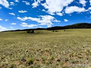 25 Sulky Ct, Hartsel, CO 80449 - photo 3