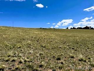 25 Sulky Ct, Hartsel, CO 80449 - photo 4