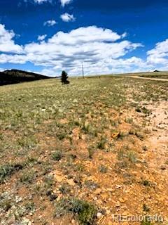 25 Sulky Ct, Hartsel, CO 80449 - photo 6